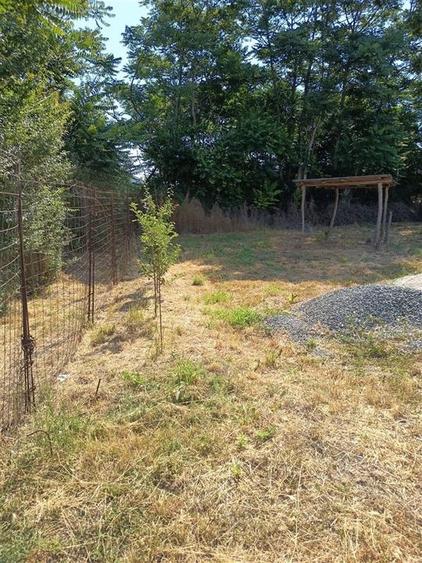 Vand teren intravilan comuna Corbu 1000mp - 4