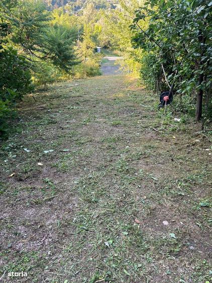 Vanzare cabana+ teren intravilan 1050mp, casa de vacanta/locuinta - 3