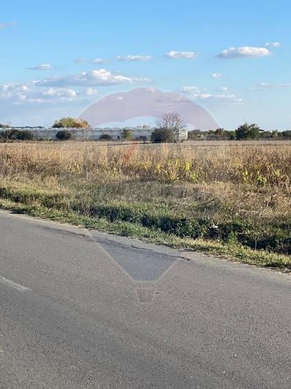 Teren intravilan constructii Stoenesti (Floresti-Stoenesti) / None - 5