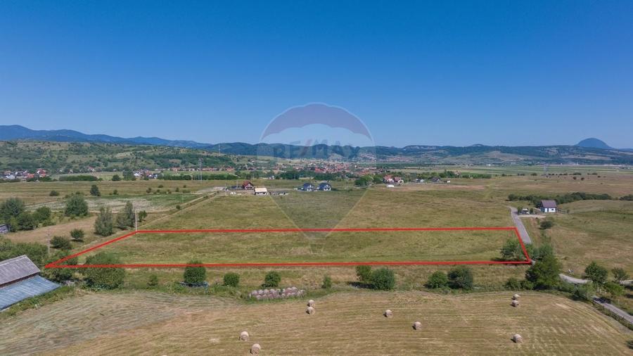 Teren Bran -Sohodol, Strada La mesteceni, 6900mp - 3