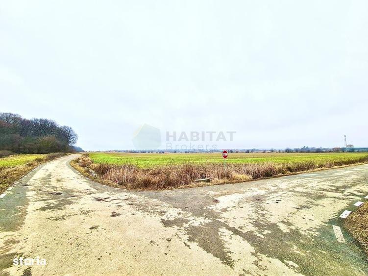 Teren | Poiana Ciolpani | Iris Orangerie - 9