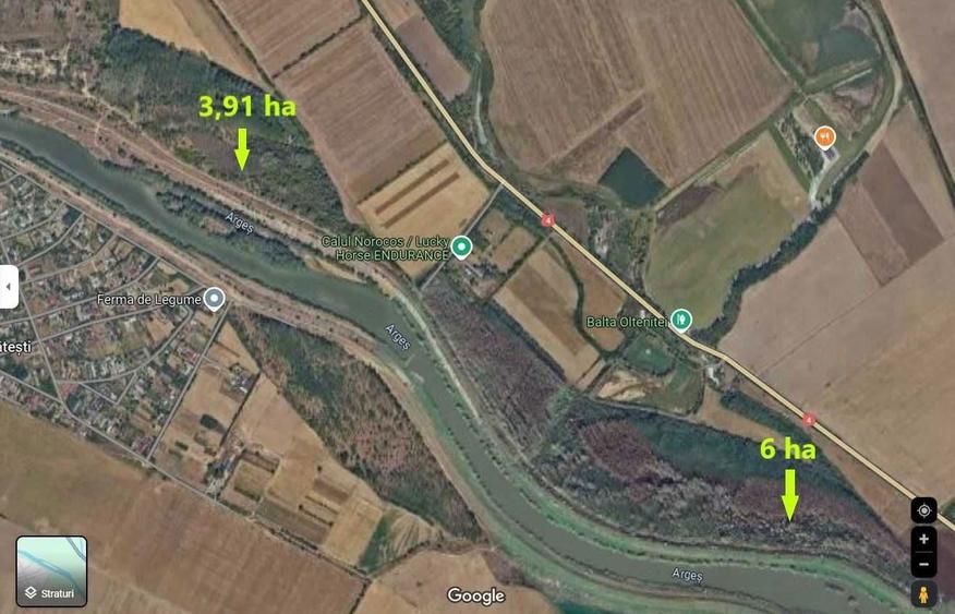 Teren extravilan (padure) de vanzare/exploatare lemn, Mitreni, CL - 2