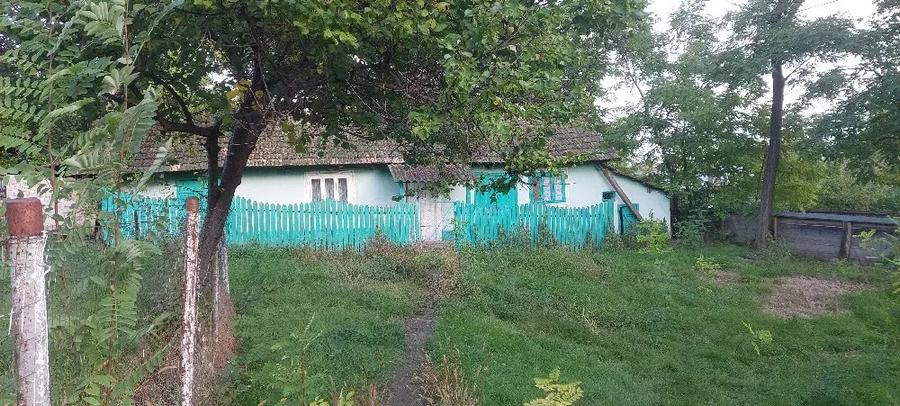 casa batraneasca de vanzare - 4