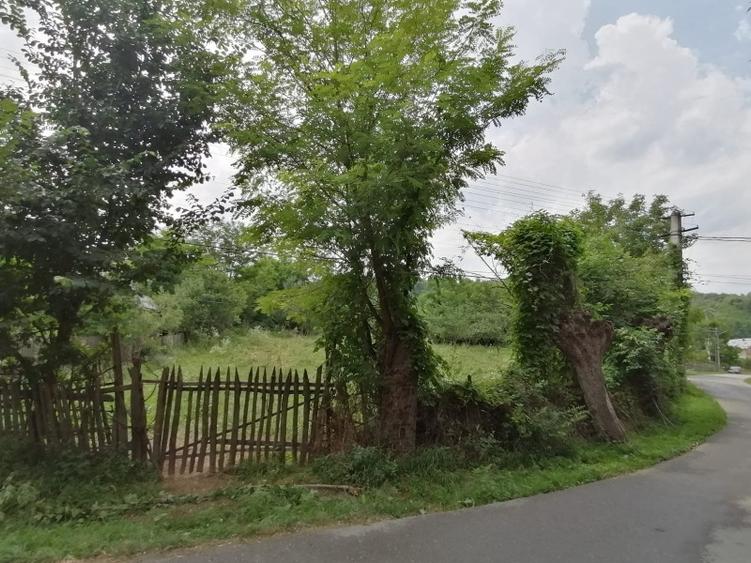 Curte 3025mp , Bughea de Jos, 5 min Valeni PH - 1