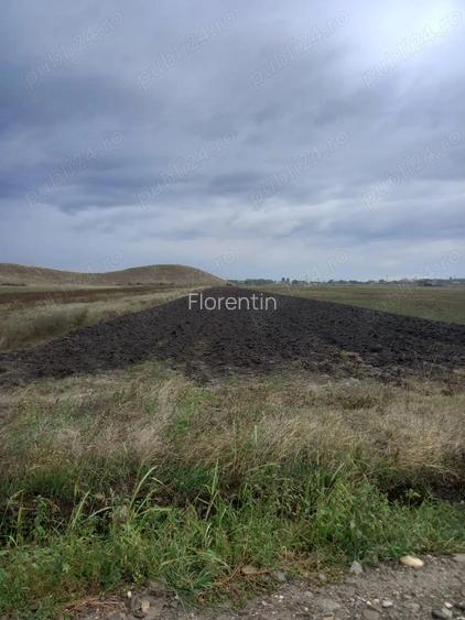 Teren intravilan Maracineni