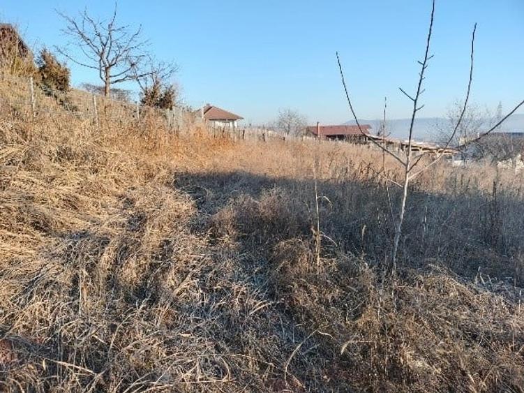 1400 mp. Deschidere 38 m Teren Intravilan CETATE Valea Popii utilitatile langa - 4