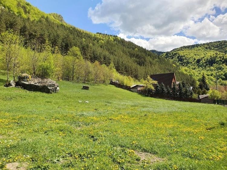 Teren de vânzare în Lepșa – ideal pentru pensiune sau casă de vacanță - 6