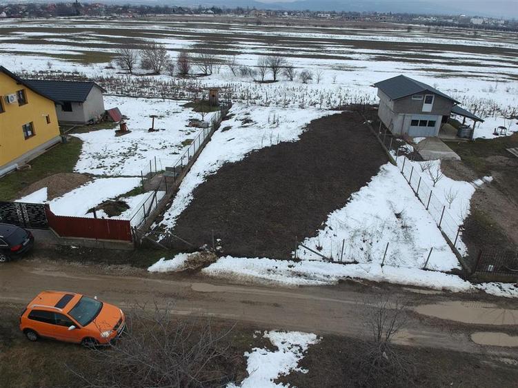 TEREN 650 CAMPINEANCA - 1