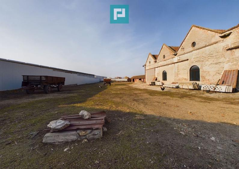 Teren ?i hale pe Calea Aradului din Periam - 13