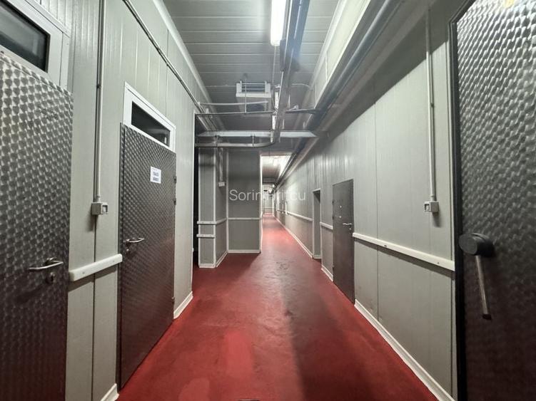 Spațiu industrial, 1270 mp în Dumbrăvița