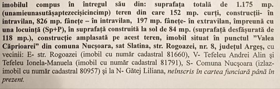 Casa de vanzare Nucsoara - 3