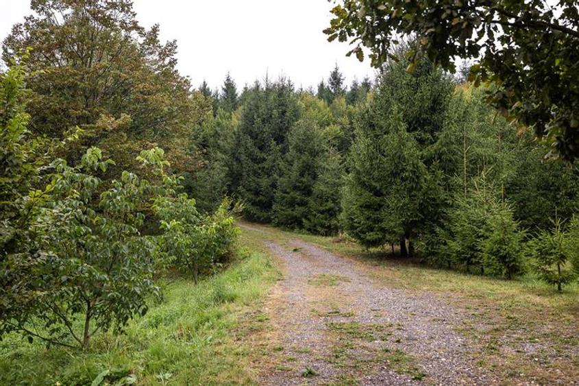 Refugiu montan,cu 2100 mp domeniu verde,arie ultra-liniara, potential extins, Vl - 16