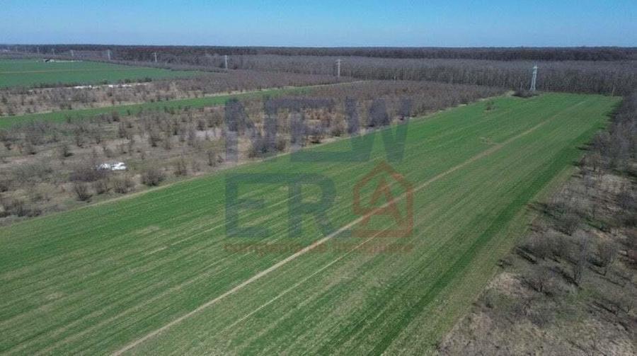 Teren de vanzare, Sabareni - 7