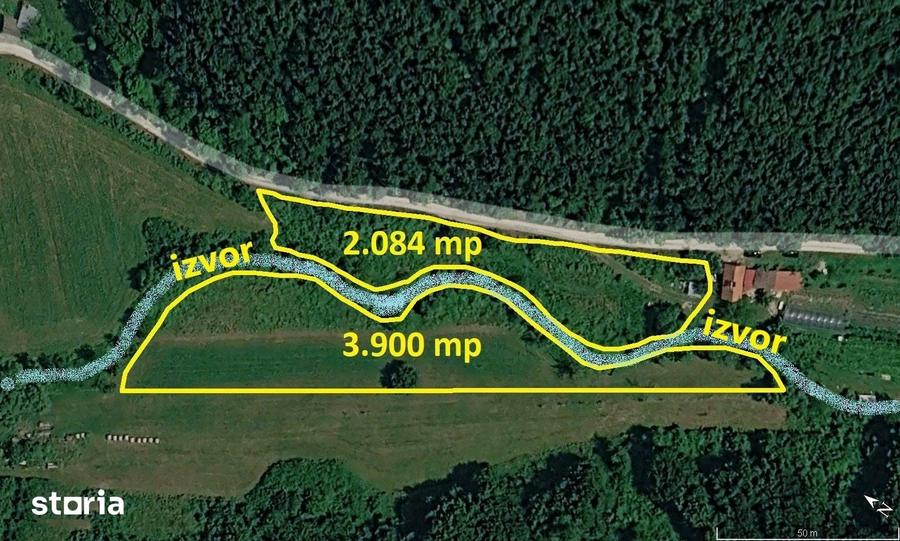 Teren de 6000 mp, în Vețel