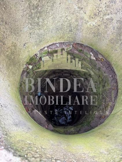 Oportunitate investitie: două reședințe de vacanță/ cabane 3940mp teren - 17