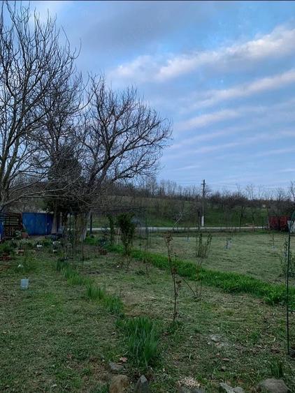 Casa de vanzare sat Tes, jud.Timis - 4