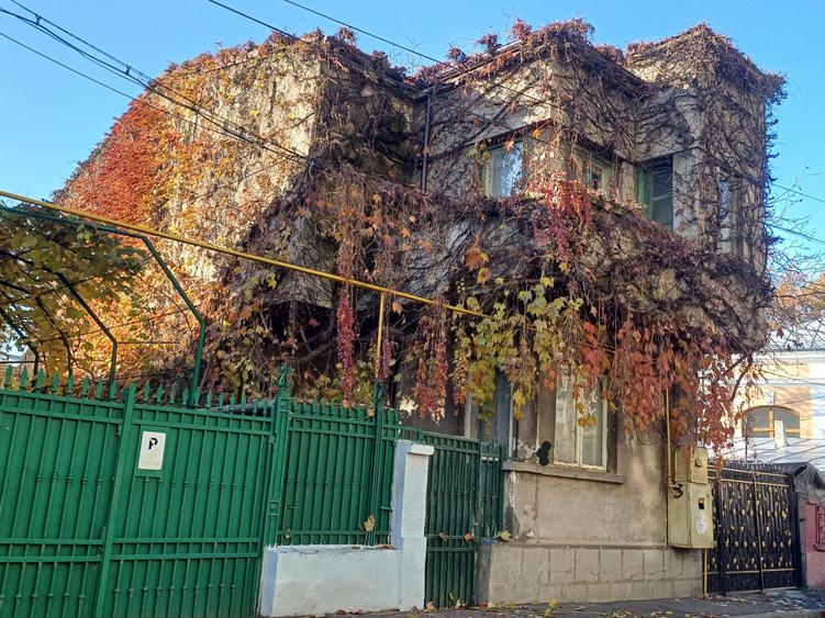 Vanzare casa, D+P+1 - 1