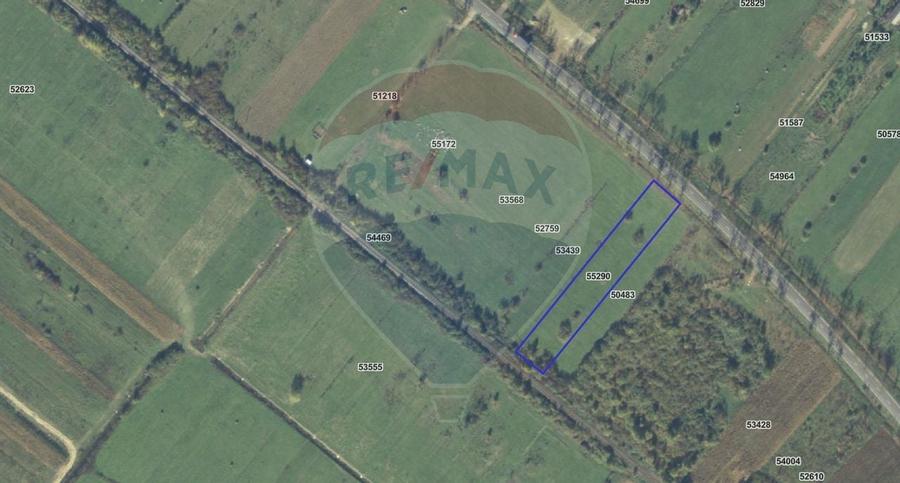 Teren 4,000mp Cicarlau / Strada Principala intravilan - 4