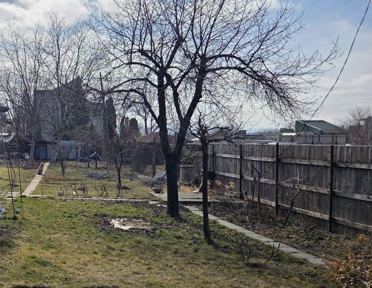 Casa de inchiriat in Copou 100 mp, Parter + Mansarda, Gradina 700mp - 7