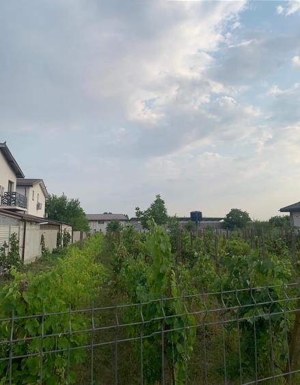 Stefanesti de Jos  Vanzare teren intravilan 3000mp - 8