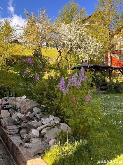 Casa de vanzare Azuga - 9