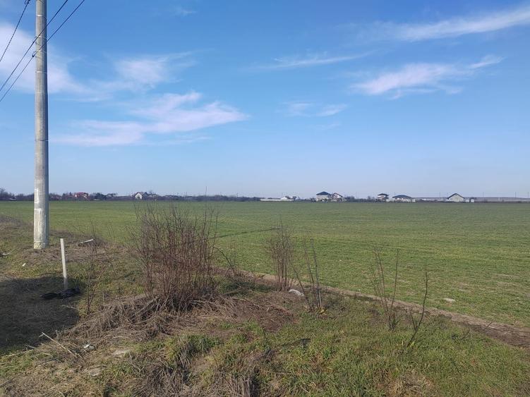 Cernica Tanganu super pret rezidential sau depozitare - 4