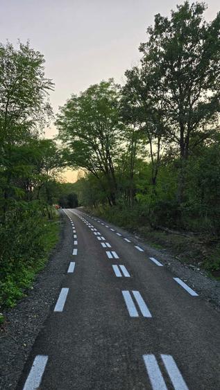 Vand teren in loc. Ulies, com. Gurasada, jud. Hunedoara - 8