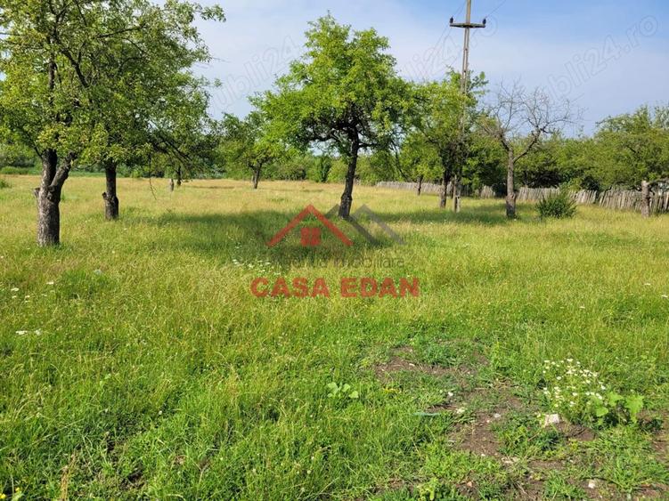 Teren intravilan in Campina, 1490mp--26.820e - 10