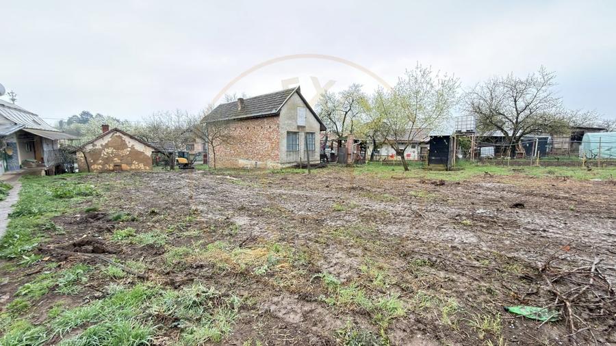 De vânzare 2 Case de vinificație cu Teren 4108 mp - Grădina Viilor - Carei - 17