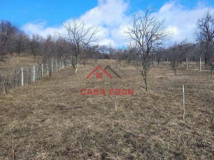 Teren intravilan in Cornu--2991mp--29e - 6