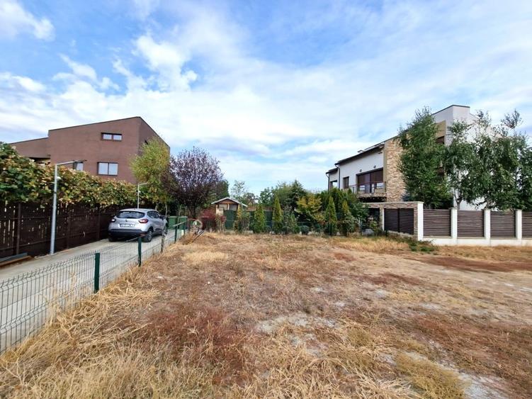 Alexandriei-Ion Conea-330 mp-59000 Euro - 8