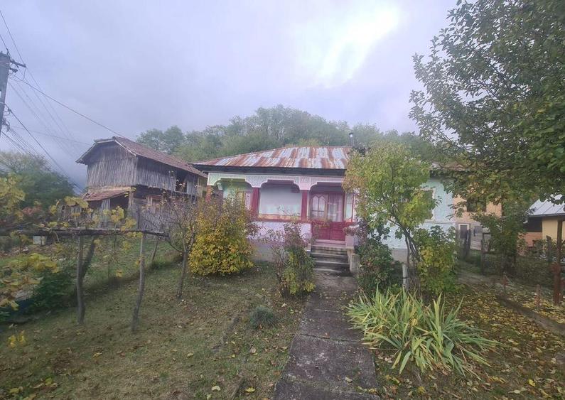 Casa batraneasca cu teren (4.910 mp) la Alunis - 12
