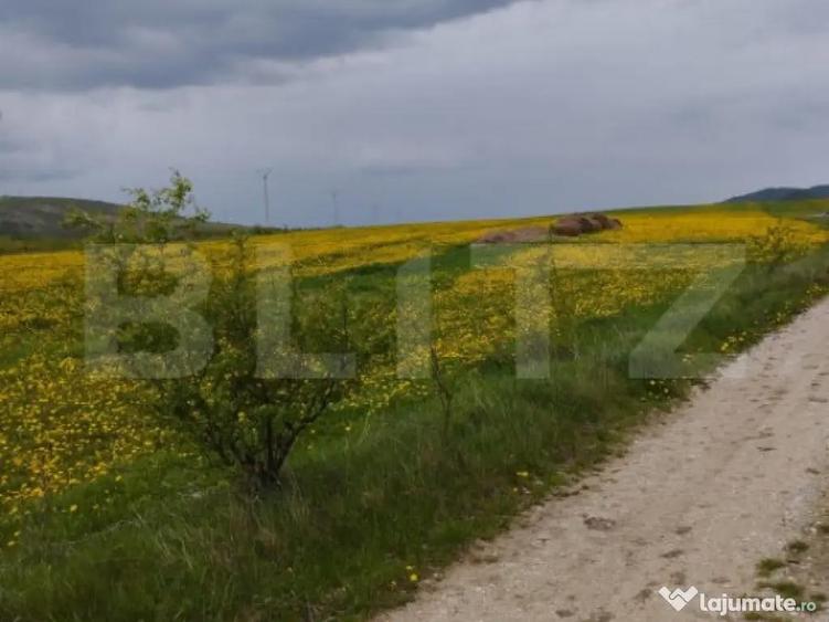 Teren extravilan 3621 mp, in Petrestii de Mijloc - 4