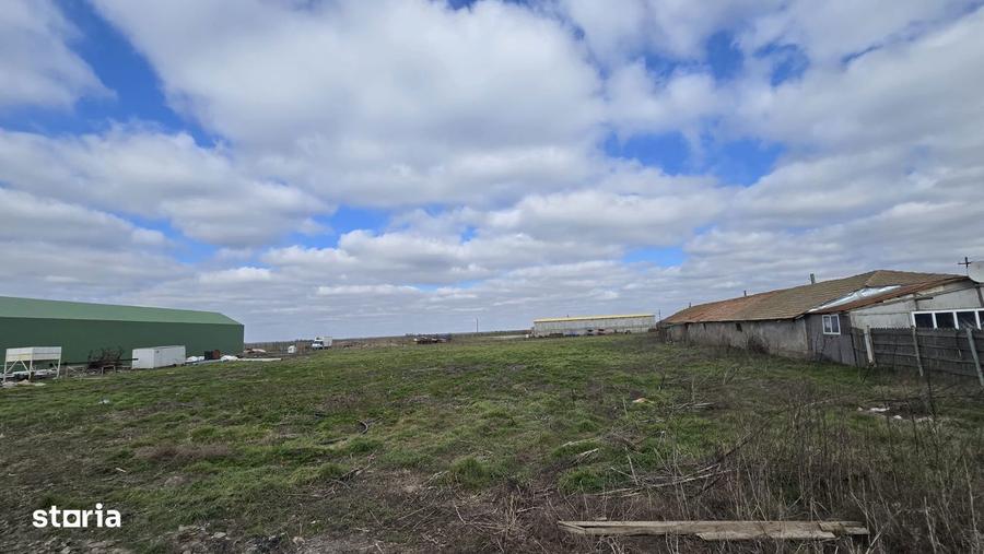 Topraisar langa Biosera Sofra teren 4649 mp cu hala 347 mp - 5