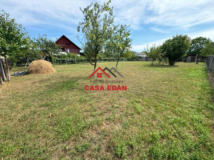 ●Teren in Campina--920mp--28.000e● - 9