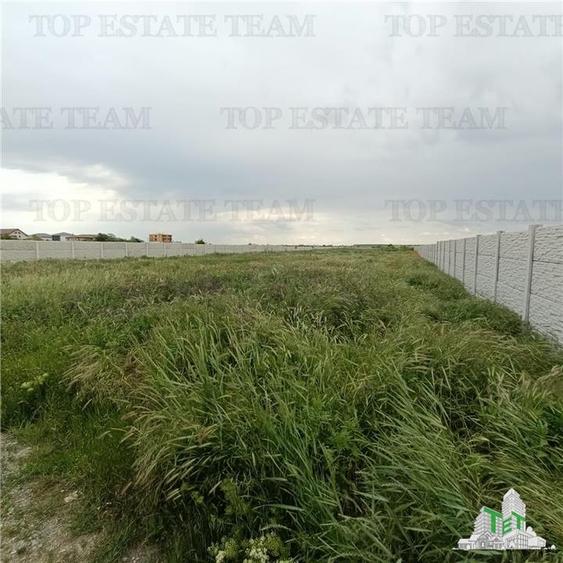 Teren intravilan 5280 mp de vanzare cu deschidere in 2 strazi / Bragadiru - 2
