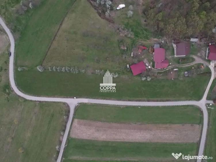 Teren INTRAVILAN 10 Ari Curtuiu?u Mic 20 km Baia Mare + ... - 8