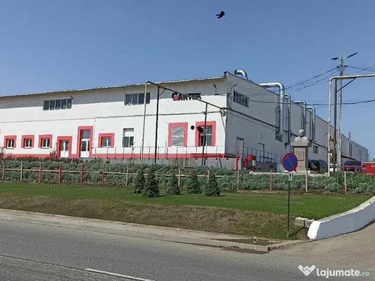 Inchiriez complex comercial in Husi, Jud. Vaslui ID:RH-44580-property - 11