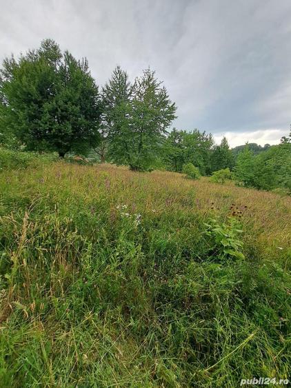 Teren intravilan 1000 mp - 7