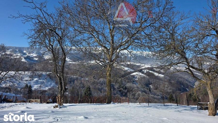 Oportunitate!Teren Moieciu de JosNatura Pura,Parau,Poten?ial Turistic - 12