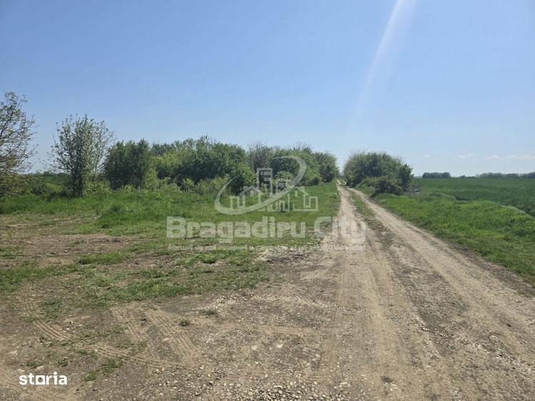 Teren Ordoreanu parcelat ideal investitie - 3