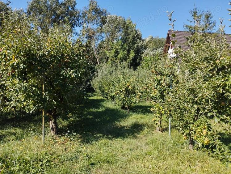 Breaza, teren 1705 mp sau lotizat, zona insorita - 5