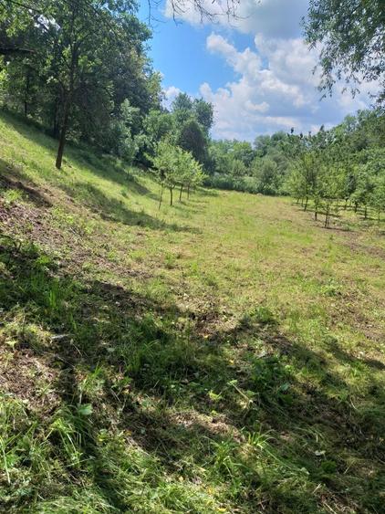 Teren de vanzare - 1