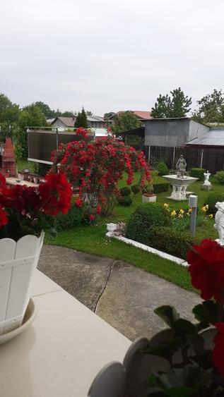 Ploiesti Puchenii Mari - Odai, la 15 km de Ploiești și 40 km de Buc - 6