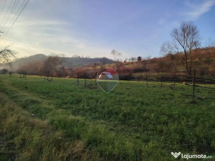 Teren în Bârsana