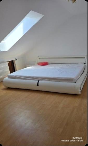 Colentina - Fundeni , Maior Bacila stradal - 3