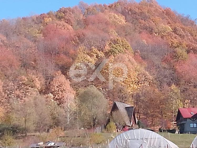 Teren de vânzare – 1250 mp Zona Românești, Vălenii de Munte - 4