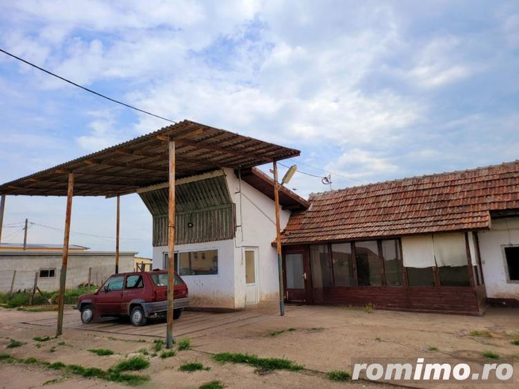 Domeniu, 9,5 ha, 25 KM de Timisoara - 8