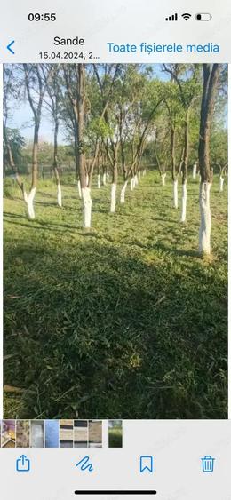 Casa de vanzare - 10