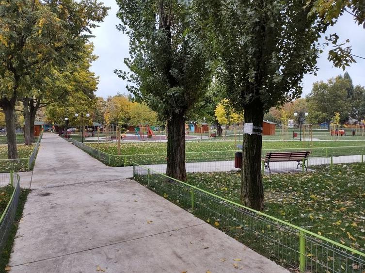 Vila spatioasa, pozitie excelenta, zona Rahova- Oltului - 9